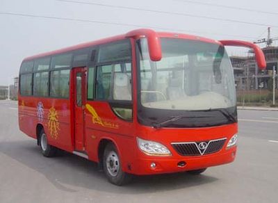 Shaolin  SLG6751CF coach