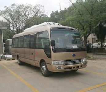 Yangtze River brand automobiles WG6800BEVHN1 Pure electric passenger cars