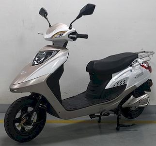 Five Star Diamond Leopard ZB1200DQT7 Electric two wheeled light motorcycle