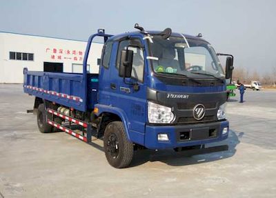 Foton  BJ3143DJPDDFA Dump truck