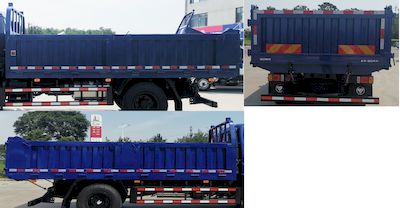 Foton  BJ3143DJPDDFA Dump truck