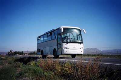 Xiyu  XJ6950 Luxury tourist buses