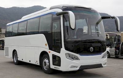 Jinlv  XML6909J16Y coach