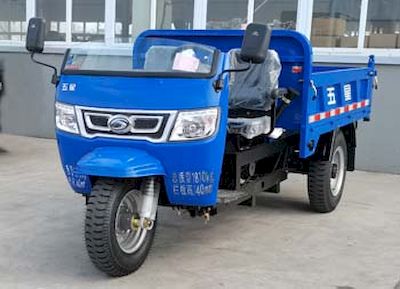 Five star  7YP1175D4B Self dumping tricycle