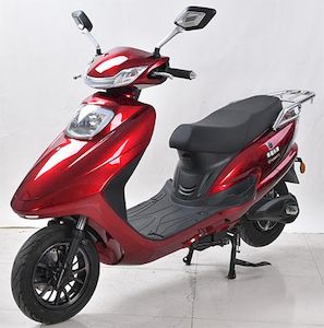 Dongzhi  DZ1200DT3 Electric two wheeled motorcycle