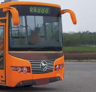 Nanjun  CNJ6100AG coach