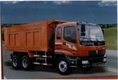 Xingniu  XCG3241 Dump truck