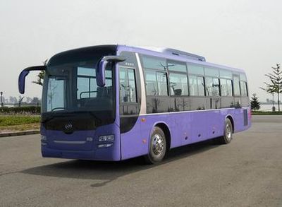 Huanghai  DD6119C63 coach