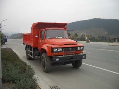 Huashen DFD3120FDump truck