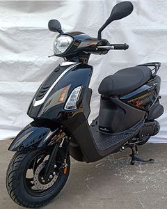 Shuya  SY125T6 Two wheeled motorcycles