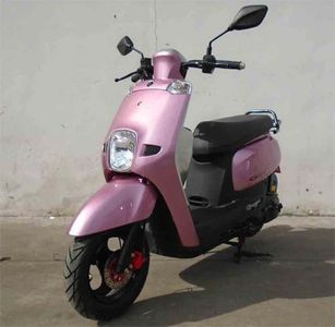 Didi Ma  DM100T11V Two wheeled motorcycles