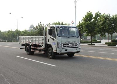 Foton  BJ1103VGJEAV4 Truck