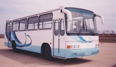 Huanghai  DD6992S04 City buses