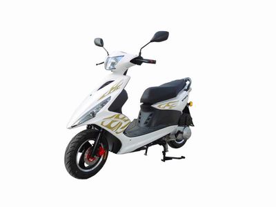 Qi Qi  QP100TB Two wheeled motorcycles