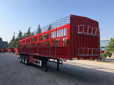 Central Dongjun  MLZ9400CCY Gantry transport semi-trailer