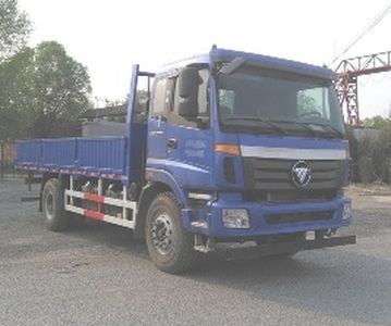 Foton BJ1163VJPJGACTruck