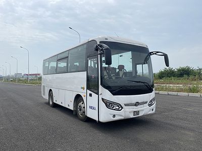 Guilin Daewoo GDW6818HKF1coach