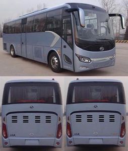 Jinlong  XMQ6111CYN5D coach