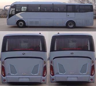 Jinlong  XMQ6111CYN5D coach