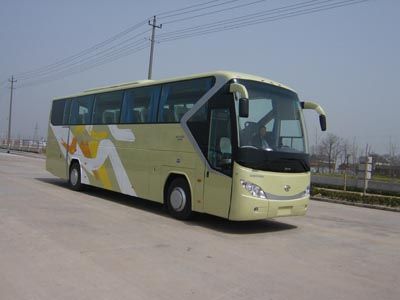 Medium to large YCK6126HG55coach