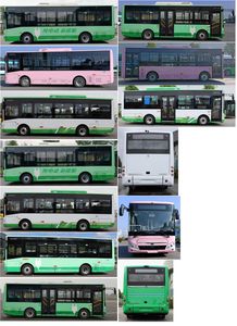 Wanda  WD6865BEVG05 Pure electric city buses