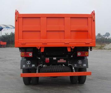 Ace car CDW3050N2D Dump truck