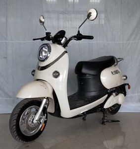 Pratt PL1500DT4 Electric two wheeled motorcycle