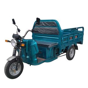 Da Jiang  DJ1500DZH3C Electric tricycle