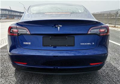 Tesla TSL7000BEVAR1 Pure electric sedan