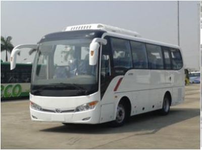 Jinlong  XMQ6859BYD4B coach