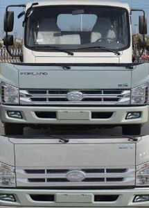 Foton  BJ3046D9JBAFF Dump truck