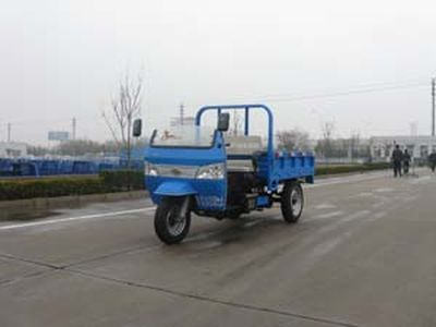 Five star  7Y1175D2B Self dumping tricycle