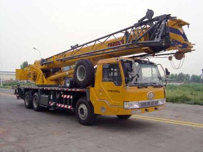 Dongyue  TA5320JQZGT255 Car crane