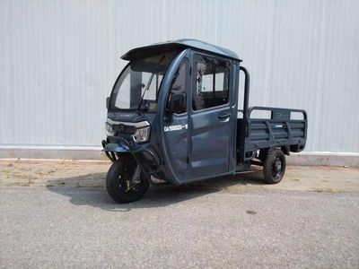 Da An Ronaldo DA1500DZH10 Electric tricycle