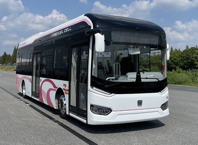 Shenwo  SWB6109FCEV04G Fuel cell low floor urban buses