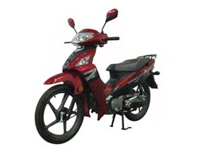 Construction  JS1109H Two wheeled motorcycles