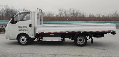 Skyworth NJL1033EV2C Pure electric freight vehicles