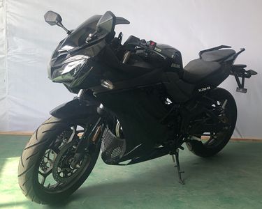 Xunlong  XL2005S Two wheeled motorcycles