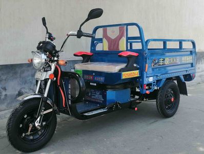 Fengshou  FS2500DZH6 Electric tricycle