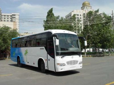 Xiyu XJ69283coach