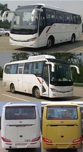 Jinlong  XMQ6879AYN4B coach