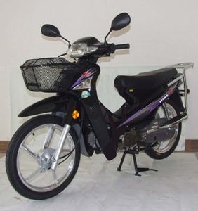 Dayang  DY100E Two wheeled motorcycles