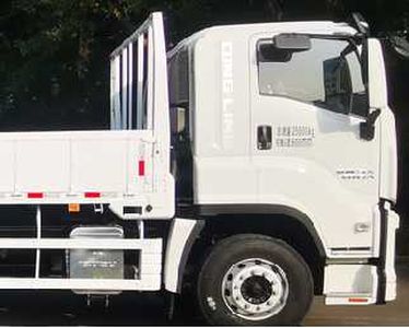 Isuzu  QL1250FTFZ Truck