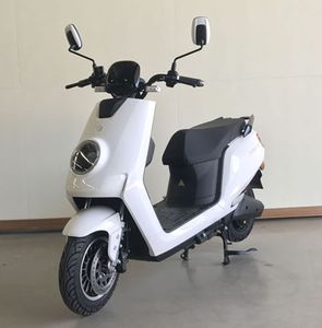 Fosdie FT1500DT14C Electric two wheeled motorcycle