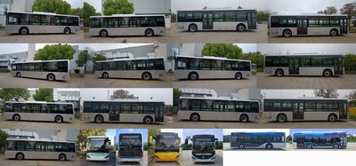 Hagrid KLQ6116GAEVN7P Pure electric low floor city buses