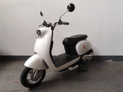 Europa  OP600DQT11 Electric two wheeled light motorcycle