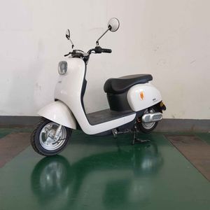 Europa  OP600DQT11 Electric two wheeled light motorcycle