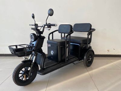 Wanshida WSD1200DZK3Electric tricycle