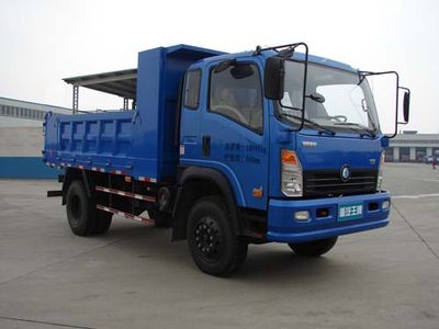 Ace car CDW3112A2Q4 Dump truck