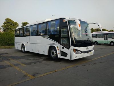 Hagrid KLQ6111HZEV1N3 Pure electric passenger cars